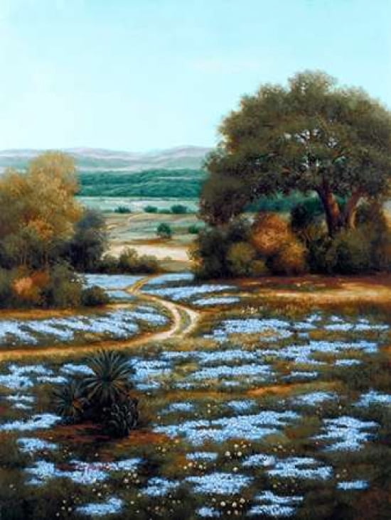 Valley of the Bluebells II Canvas Art - Arcobaleno (18 x 24)
