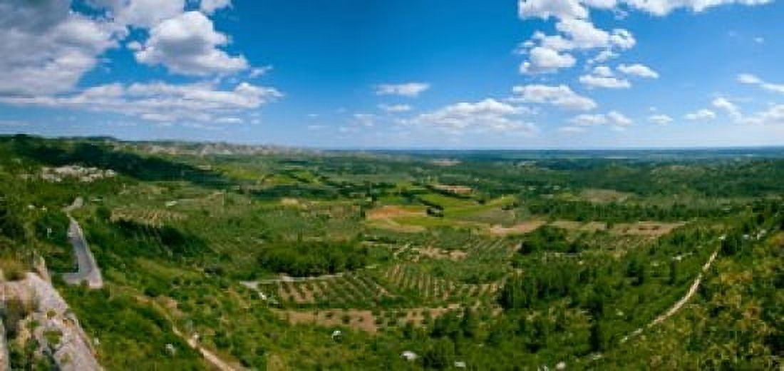 Valley with olive trees and limestone hills Les Baux-de-Provence Bouches-Du-Rhone Provence-Alpes-Cote dAzur France Canvas Art - Panoramic Images (24 x 12)