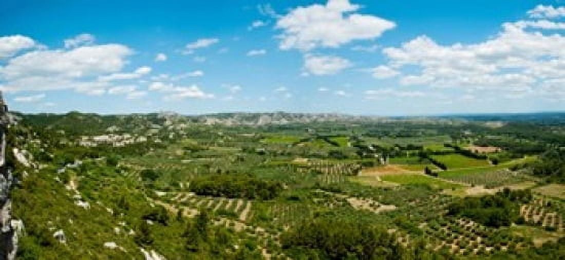 Valley with olive trees and limestone hills Les Baux-de-Provence Bouches-Du-Rhone Provence-Alpes-Cote dAzur France Canvas Art - Panoramic Images (36 x 17)