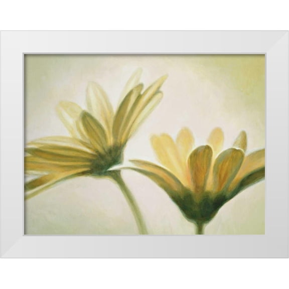 Valli, Massimo 14x12 White Modern Wood Framed Museum Art Print Titled - Evanescence I