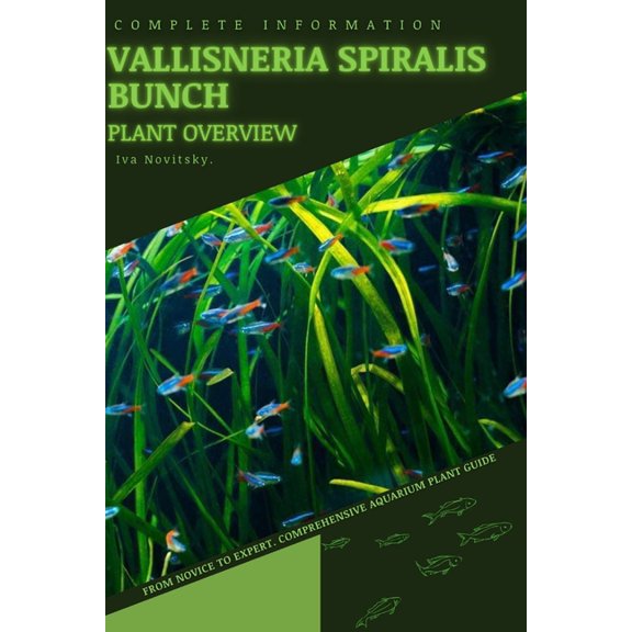 Vallisneria Spiralis Bunch: From Novice to Expert. Comprehensive Aquarium Plants Guide