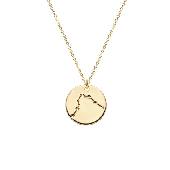 Valloey Rover 14K Gold Plated Astrology Sign Round Disc 12 Constellation Pendant Necklace Jewerly Gift for Women