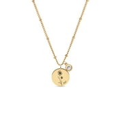 VALLOEY ROVER 18k Gold Vacuum Plated Dainty Flower Birthstone Pendant Necklace for Women Birthday Gifts(January to December）