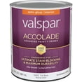 thumbnail image 1 of Accolade Int S/G Tint Bs Paint 028.0013003.005, 1 of 4