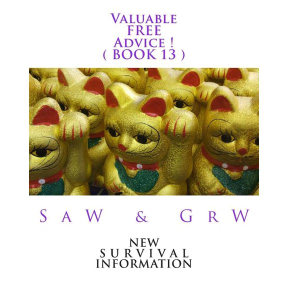 Valuable FREE Advice ! ( BOOK 13 ) : New S U R V i V A L Information (Paperback)