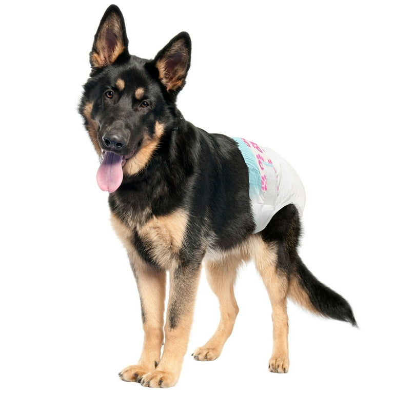 ValueFresh Female Dog Disposable Diapers XX Large 36 Count