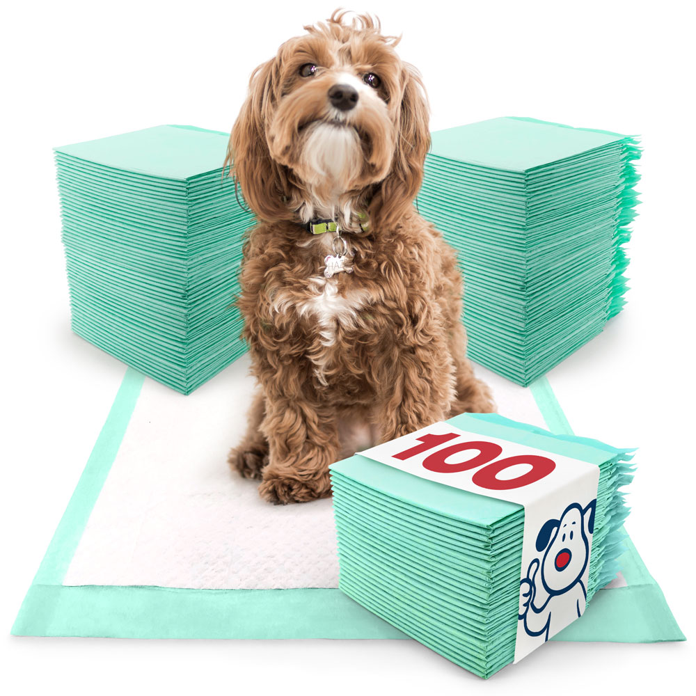ValuePad Plus Puppy Pads, Medium 23x24 Inch, 100 Count
