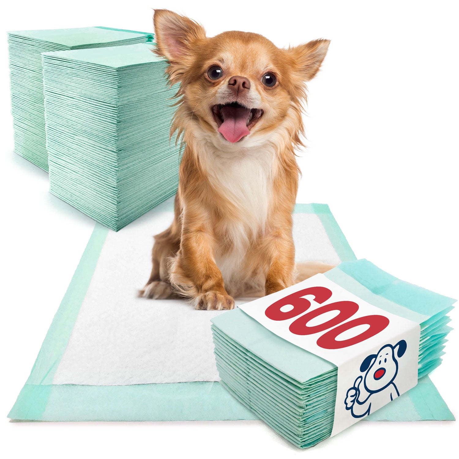 ValuePad Plus Puppy Pads, Small 17x24 Inch, 600 Count BULK PACK