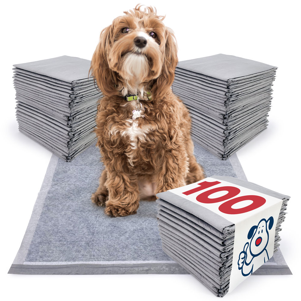 ValuePad Ultra Carbon Puppy Pads, Medium 23x24 Inch, 100 Count