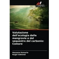 thumbnail image 1 of Valutazione dell'ecologia delle mangrovie e del sequestro del carbonio : Comore (Paperback), 1 of 1