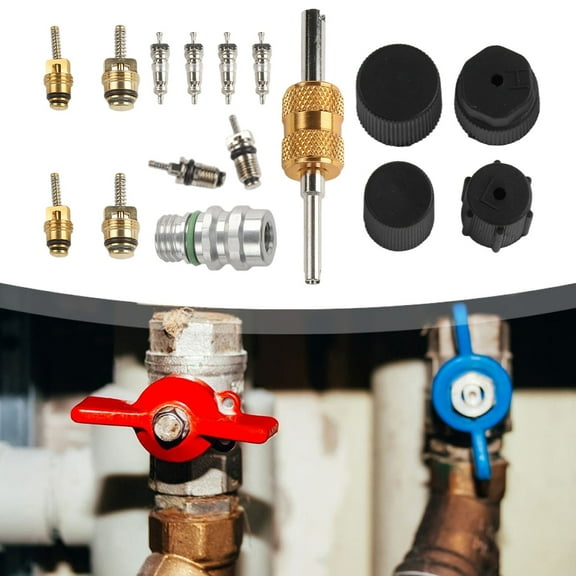 Valve Core Kit for R12 and For R134a Air Conditioning Systems Includes Various Valve Cores and Dust Protection Features