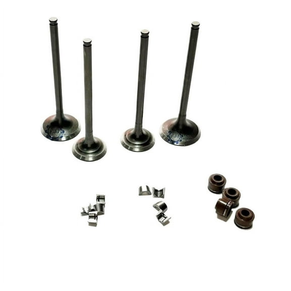 Valve Kit For Honda Cbx250 Cbf250 Xr250 Cbx300 Xr300