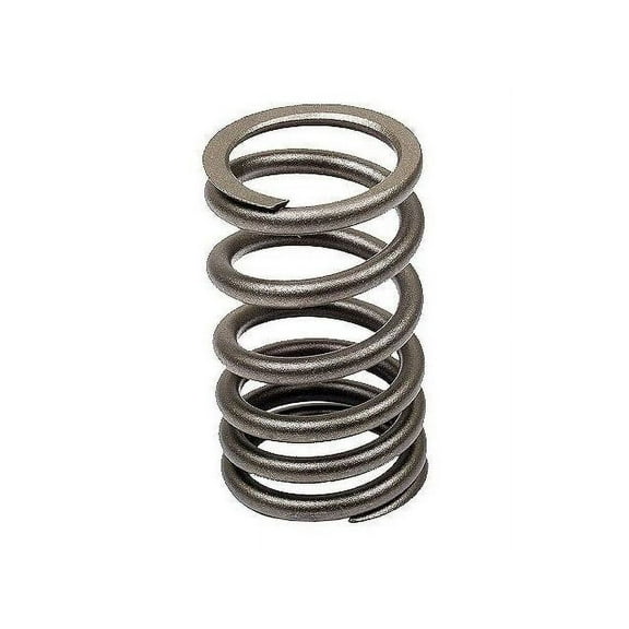 Valve Spring - Compatible with 1961 - 1979 Volkswagen Beetle 1962 1963 1964 1965 1966 1967 1968 1969 1970 1971 1972 1973 1974 1975 1976 1977 1978