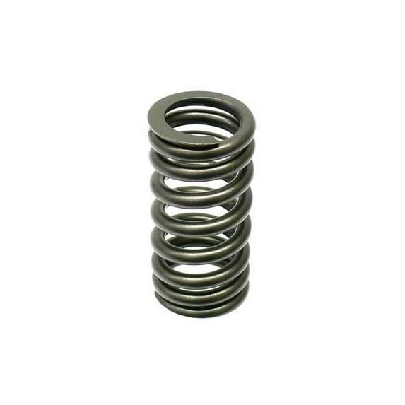 Valve Spring - Compatible with 2002 - 2008 Mini Cooper Convertible 2003 2004 2005 2006 2007