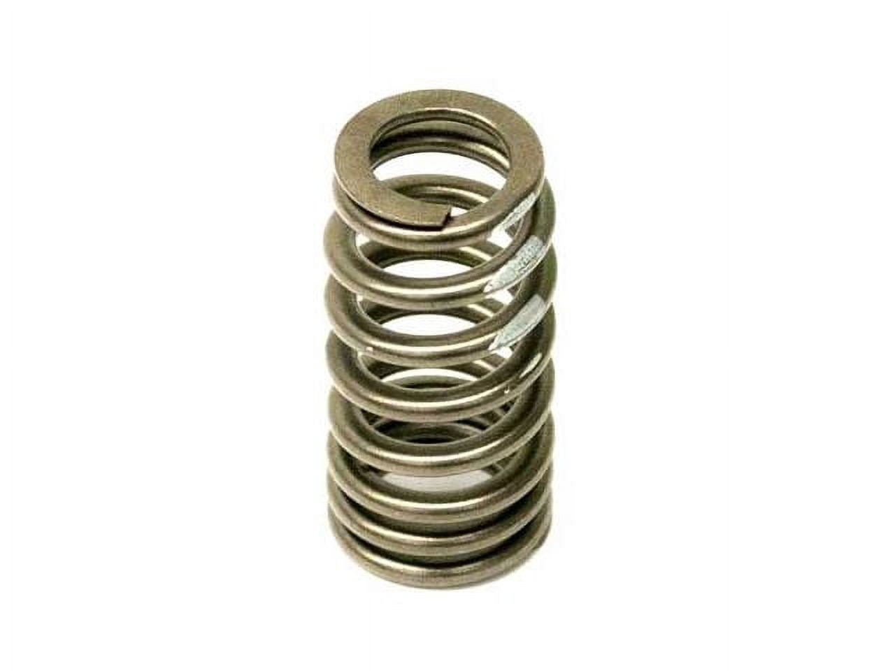 Valve Spring - Compatible with 2009 - 2016 BMW 535i xDrive 2010 2011 ...