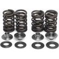 thumbnail image 1 of Valve Spring Kit, 1 of 2