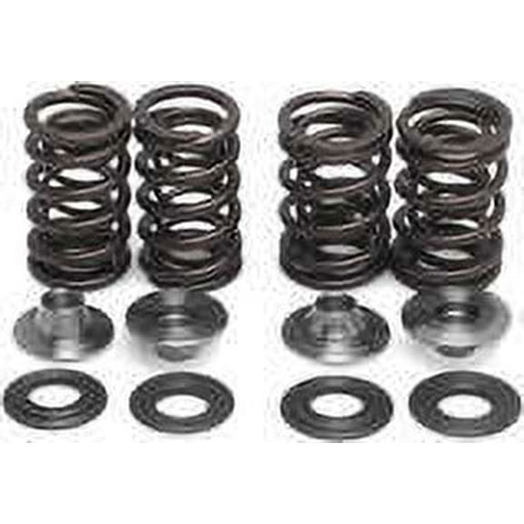 Valve Spring Kit