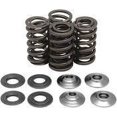 thumbnail image 1 of Valve Spring Kit, 1 of 1