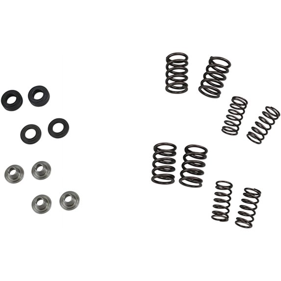Valve Spring Kit