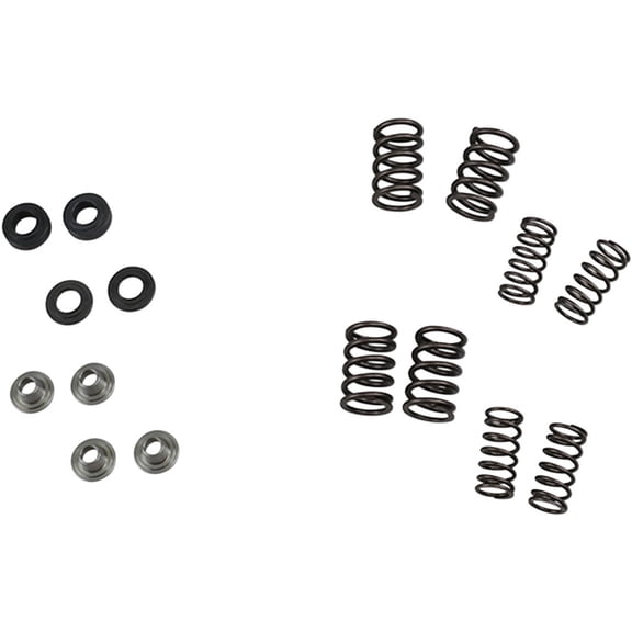 Valve Spring Kit