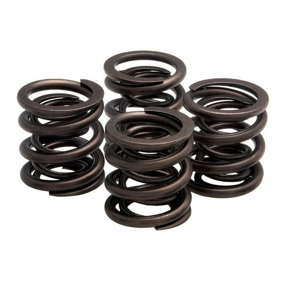 Valve Spring Kit