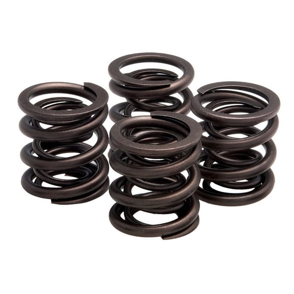 Valve Spring Kit