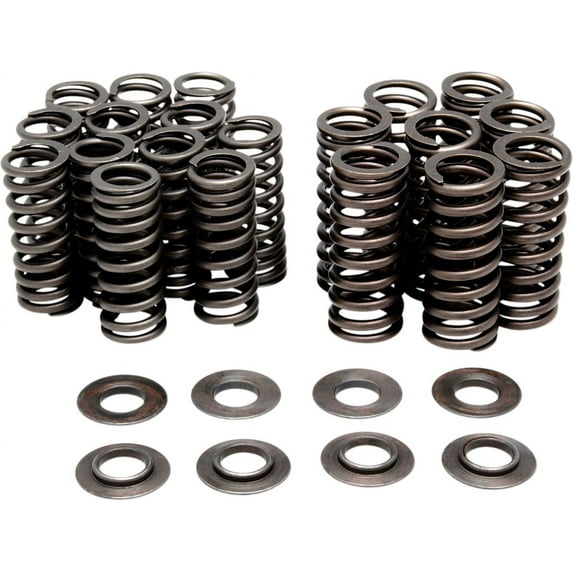Valve Spring Kit