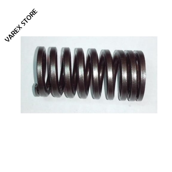Valve Spring for mitsubishi i Outlander 2.4L OEM 2003 MN137027