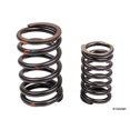 thumbnail image 1 of OE Supplier 95110590510 Engine Valve Spring, 1 of 1