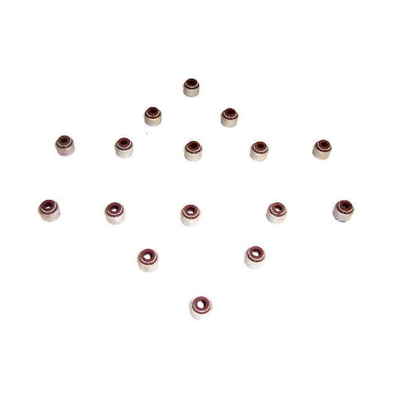 Valve Stem Seal Kit - Compatible with 1990 - 2022 Honda Accord 1991 1992 1993 1994 1995 1996 1997 1998 1999 2000 2001 2002 2003 2004 2005 2006 2007 2008 2009 2010 2011 2012 2013 2014 2015 2016