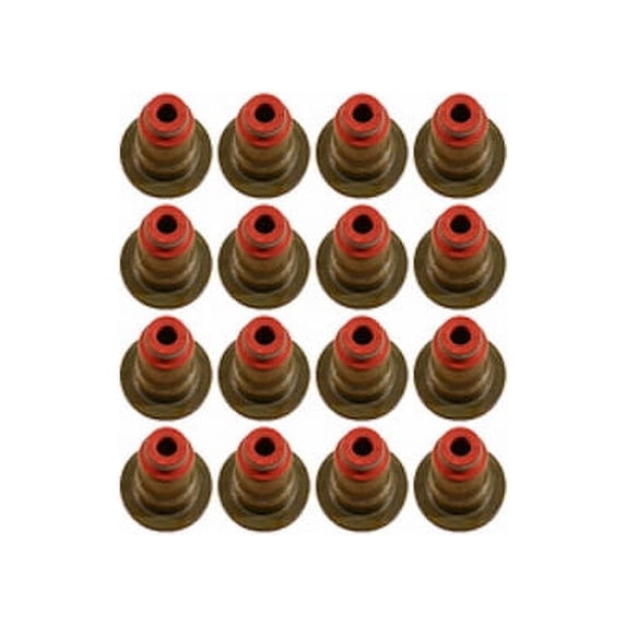 Valve Stem Seal Kit - Compatible with 2006 - 2017 BMW 750i 2007 2008 2009 2010 2011 2012 2013 2014 2015 2016