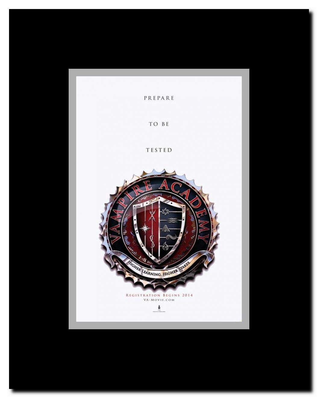 Vampire Academy Framed Movie Poster