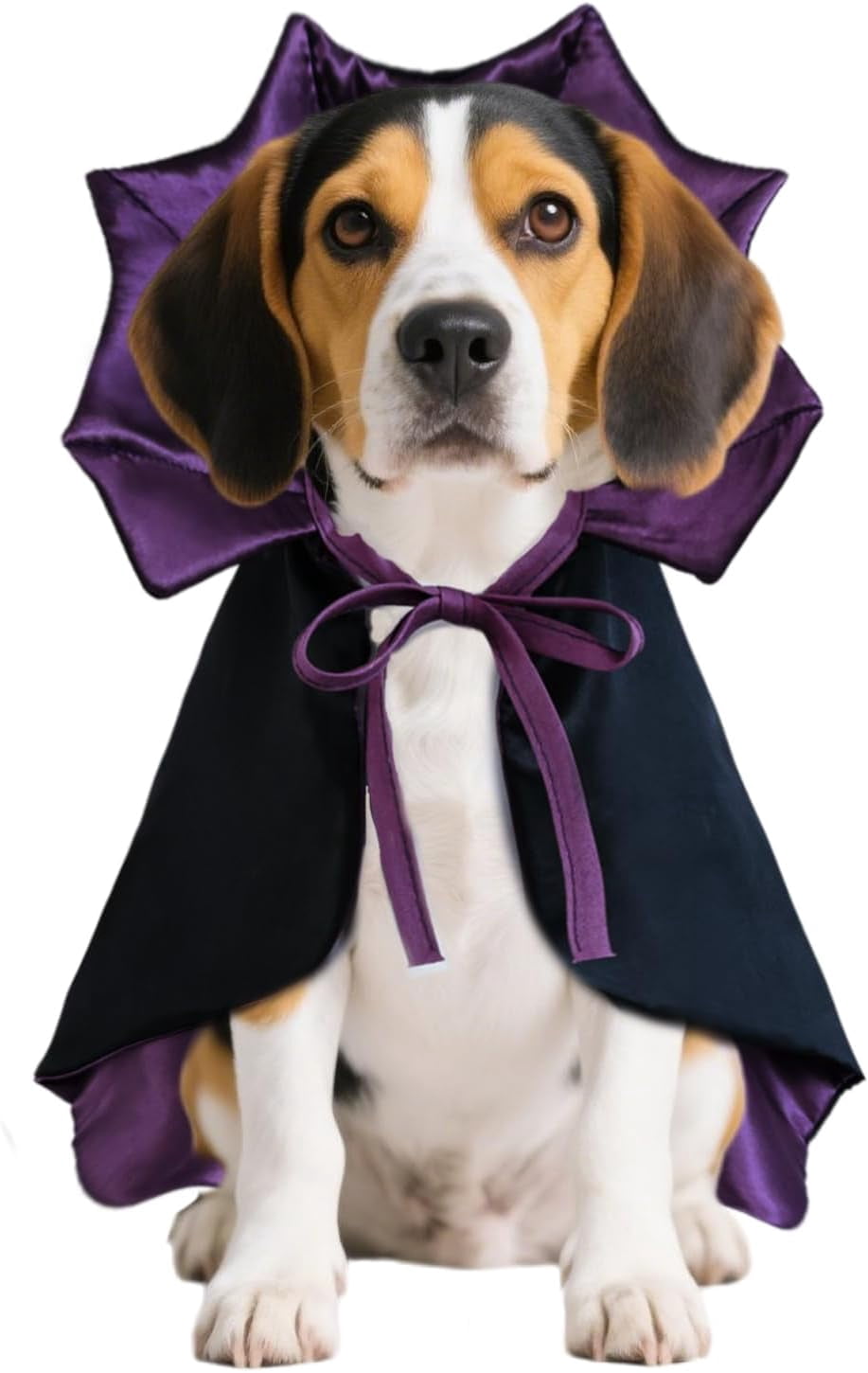 Vampire Cloak Costume for Large Dogs – Devil Cape Halloween Outfit for ...