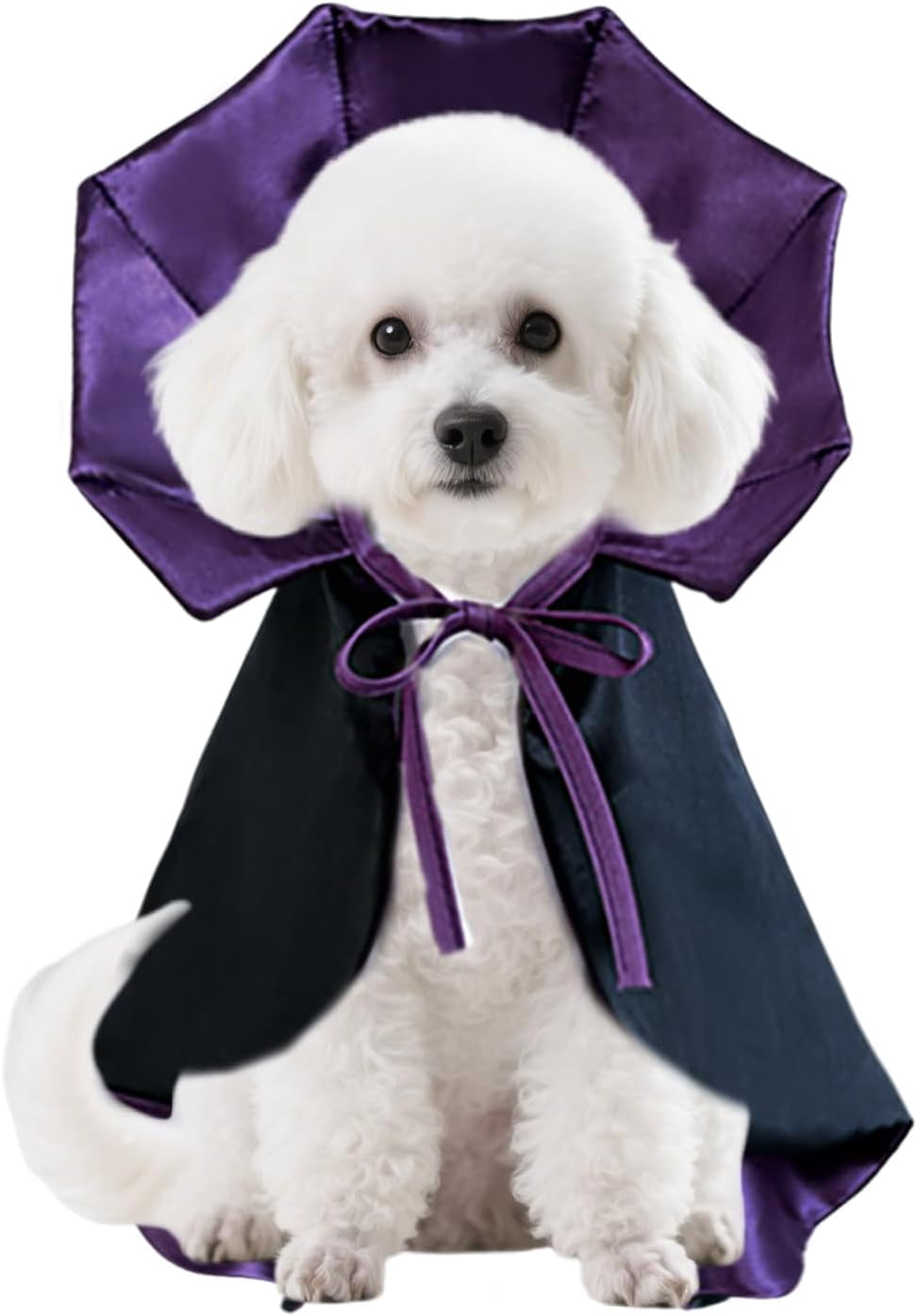 Vampire Cloak Dog Costumes for Medium Dogs, Devil Cape Dog Halloween ...