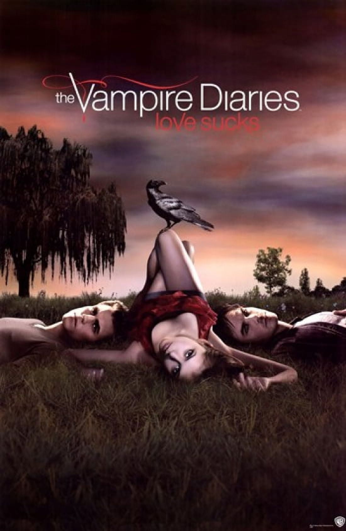 トリッカル　ポスターブック Vampire Diaries - Love Sucks Laminated Poster Print (24 x 36