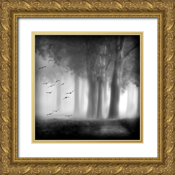 Van Bijnen, Jacqueline 12x12 Gold Ornate Wood Framed with Double Matting Museum Art Print Titled - Morning Trees