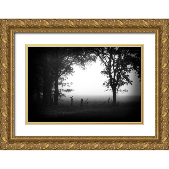 Van Bijnen, Jacqueline 14x11 Gold Ornate Wood Framed with Double Matting Museum Art Print Titled - Early Bird