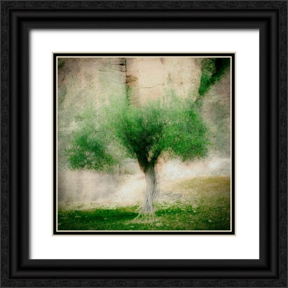 Van Bijnen, Jacqueline 20x20 Black Ornate Wood Framed with Double Matting Museum Art Print Titled - The Olive Tree