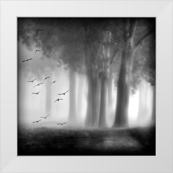Van Bijnen, Jacqueline 26x26 White Modern Wood Framed Museum Art Print Titled - Morning Trees