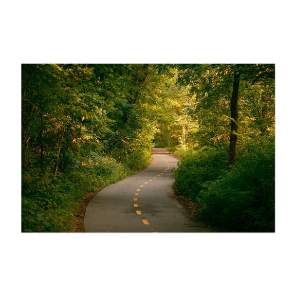 Van Cortlandt Park Path, The Bronx - The Bronx New York Photography Nature Forest Woodland Scenic Landscape Wilderness Unframed Wall Art Print 32 x 48 inches