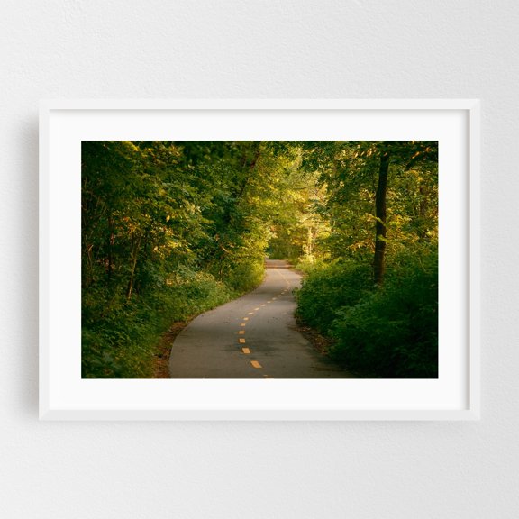 Van Cortlandt Park Path, The Bronx - The Bronx New York Photography Nature Forest Woodland Scenic Landscape Wilderness White Framed Wall Art Print 5 x 7 inches