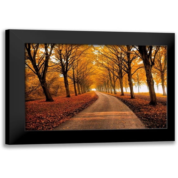 Van De Goor, Lars 14x11 Black Modern Framed Museum Art Print Titled - Well Traveled