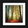 thumbnail image 1 of Van De Goor, Lars 26x26 Black Ornate Wood Framed with Double Matting Museum Art Print Titled - Colorfall, 1 of 4
