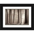 thumbnail image 1 of Van De Goor, Lars 32x23 Black Ornate Wood Framed with Double Matting Museum Art Print Titled - The Cloaking, 1 of 4