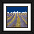 thumbnail image 1 of Van De, Lars 12x12 Black Ornate Wood Framed with Double Matting Museum Art Print Titled - Lavender Heaven, 1 of 4