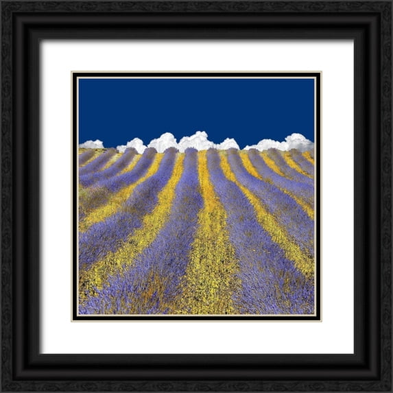 Van De, Lars 12x12 Black Ornate Wood Framed with Double Matting Museum Art Print Titled - Lavender Heaven