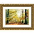 thumbnail image 1 of Van De, Lars 14x11 Gold Ornate Wood Framed with Double Matting Museum Art Print Titled - Sinfonia Della Foresta, 1 of 4
