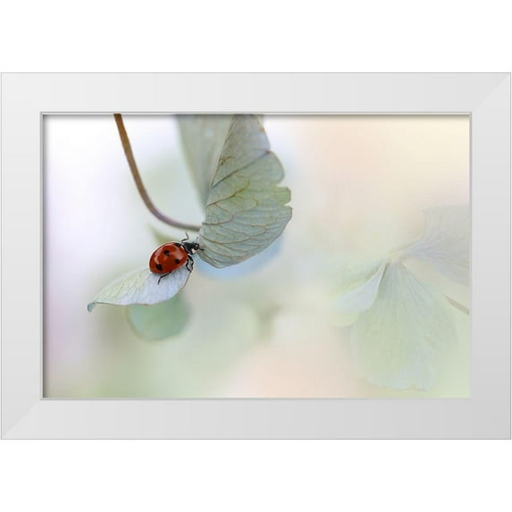 Van Deelen, Ellen 14x11 White Modern Wood Framed Museum Art Print Titled - Ladybird On Blue-Green Hydrangea