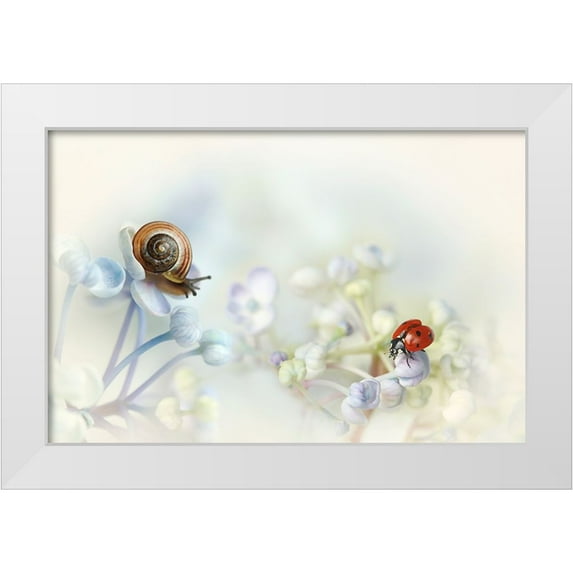 Van Deelen, Ellen 14x11 White Modern Wood Framed Museum Art Print Titled - Snail And Ladybird On Hydrangea