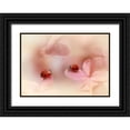 thumbnail image 1 of Van Deelen, Ellen 18x14 Black Ornate Wood Framed with Double Matting Museum Art Print Titled - Ladybirds On Pink Hydrangea., 1 of 4